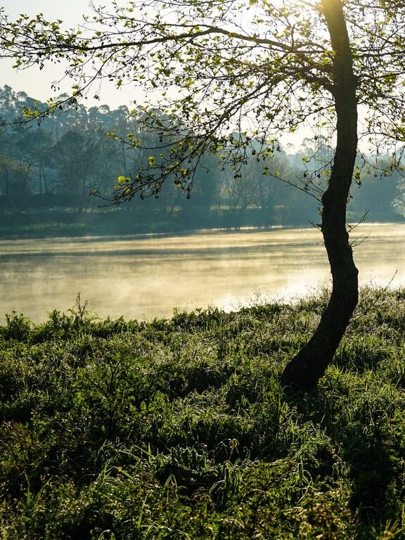 Ideas for Peaceful Weekend Mornings to Refresh Your Mind